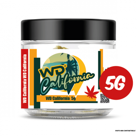 WDcalifornia5g